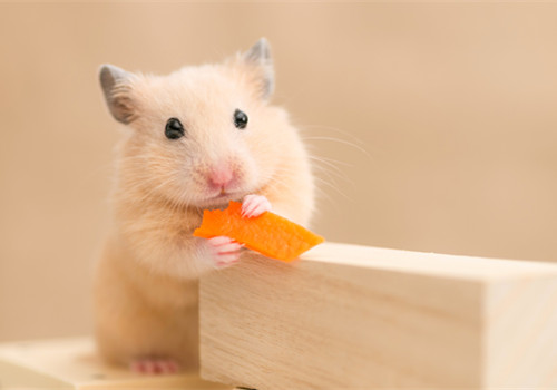 �������~~~��ֻҪ��Լ�����ض�������