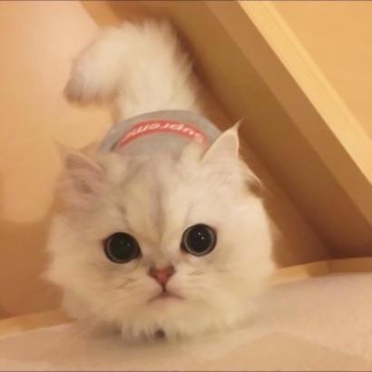 Ů�����Ӣ������˳��������-�ɰ���