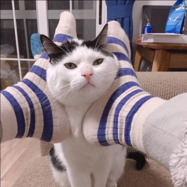 ���ɸ�Ц��Ƥ�������𲻽����