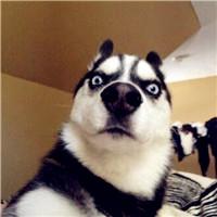 ������Ȥ������������ָ���ʮ��-�ɰ���