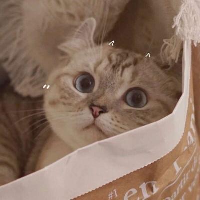 �������ź����ĳ������ֲ�ƽ��-�ɰ���