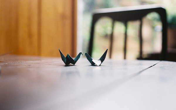 Ψ���ķ����������������ڰ�������Ĳ�ɫ����