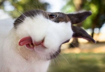 ���ȵ����֣�ð������o�ϧ�