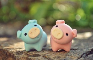 ϡ��Źֵ�QQ���֣����������ѹ��ٶ�һ��