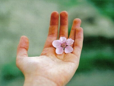 ������Ψ��������Ψ������������