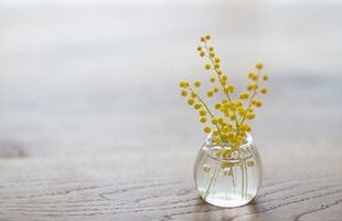 ��Ψ��������������ȫ�����ҩc