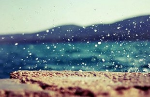 2011�������������֣���ռ�m�A�촽��