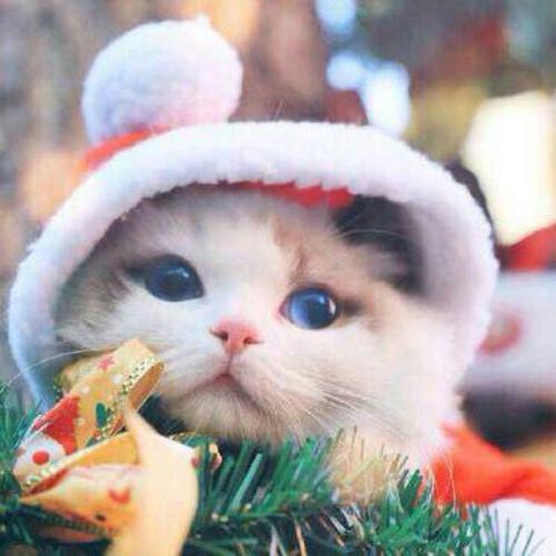 ��è����ȡ������ͷɱ�ȷ���-�ɰ���