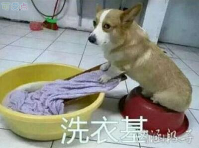 ��Ц��֧�����ǳƣ�֧������Ц����