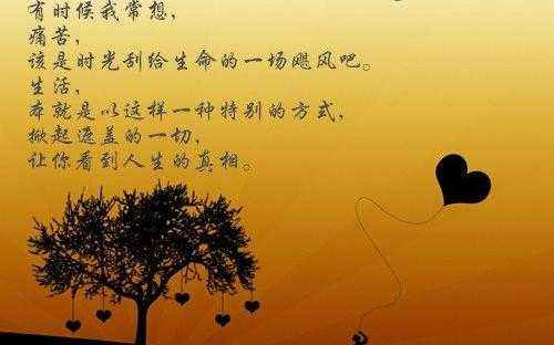 ��̬�ó�ק�����������������������������