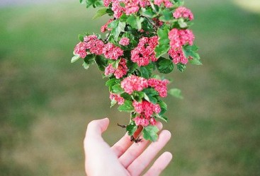 ���⾳�����֣���������������һ�����