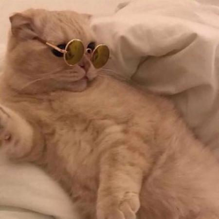 ����ȡʲô���ֺ��������������۰�-�ɰ���