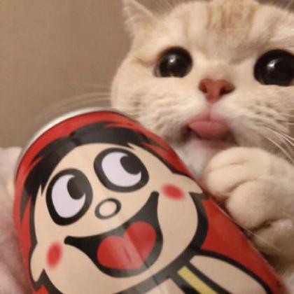 爱意满满宠物猫的名字大全很浪漫-可爱点