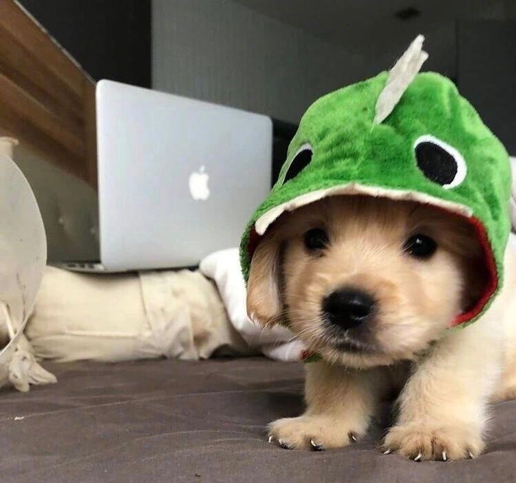 ���ֿɰ����������Ȼ�����-�ɰ���