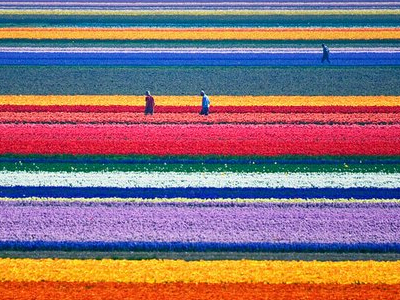 Ư����Ϸ������ƣ���ɫ����ؼ�ճ���