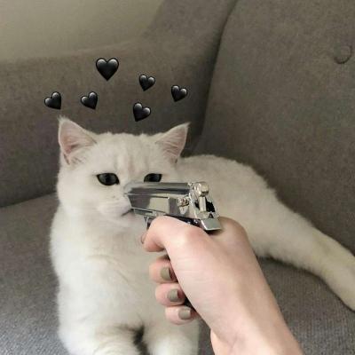 �����˹�ע���ſ�������ִ�ȫ������-�ɰ���