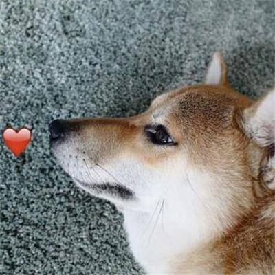 ����ĳ������ֺ�����˼-�ɰ���