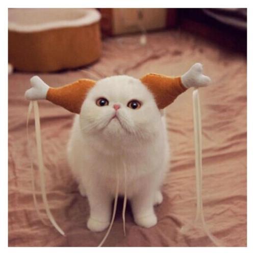 ����Ц���ȵĳ�������ƾʵ��ɳ��-�ɰ���