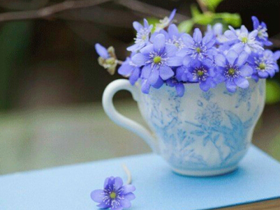 2015Îå¸ö×ÖQQÍøÃû£ºÐ¦Àï͸×ÅÉË