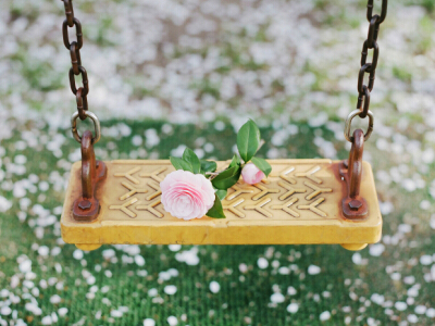 ���������������