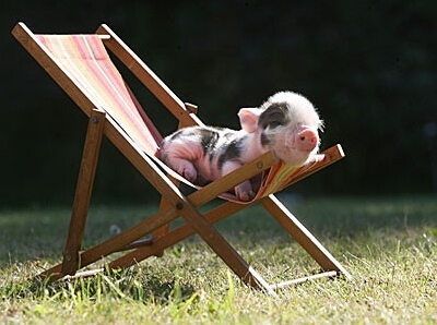 ������Ц��lol���֣������ͷ������