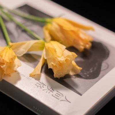 适合文艺青年的简约网名自然清新-可爱点