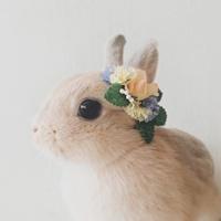 �������ĳ��������ִ�ȫ���⾳-�ɰ���