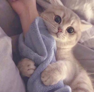 ������ĳ�������Ϊ��ͥ��������-�ɰ���