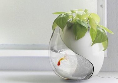 С���µ��ǳƣ����˺�,������,������