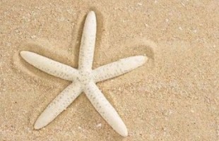 ��������ק�����������ձ����쵱����