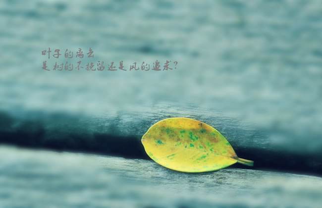 ���������е���޵�Ů����������һ˲��Ĥ�ʹ��