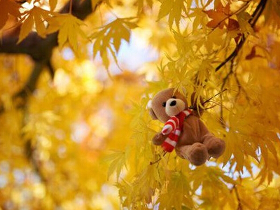 ������lol�˸������֣�Ӣ�����˰˸�������