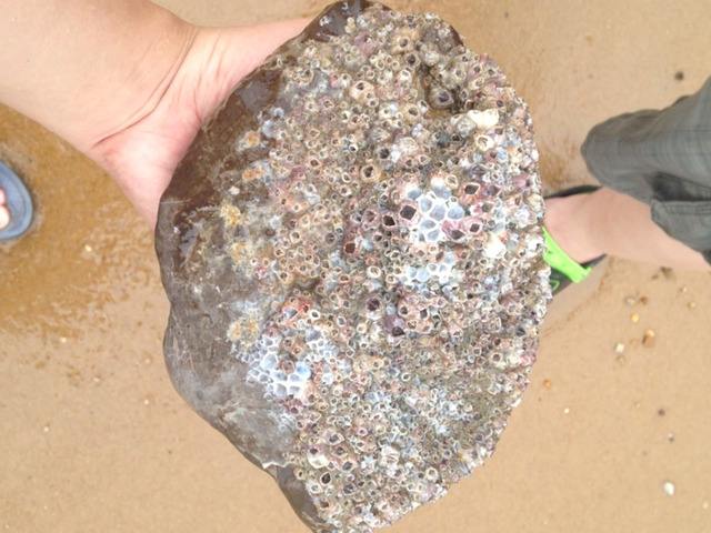 最恶心的另类网名,看了让人想吐的重口味名字