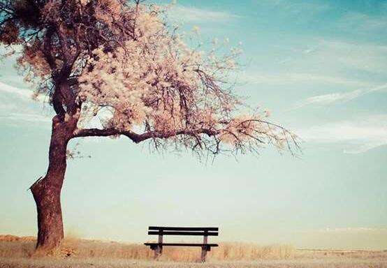 ʮ���ֵ��ǳƴ�ȫ����Ҫ�������ںڰ�֮��.