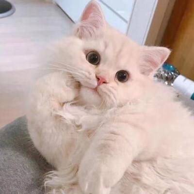 ������ȡ���ִ�ȫ�򵥶����ڵ�����-�ɰ���