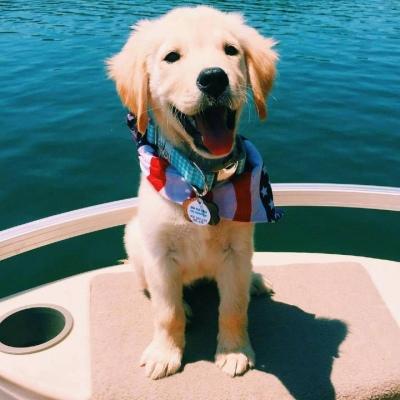 ��ë���ﹷ���ִ�ȫ��������-�ɰ���