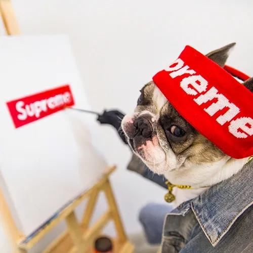 ���װ����ĳ������ִ�ȫ����һ�ַ��Ȳ�-�ɰ���