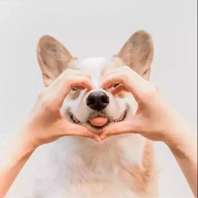 С�������յĳ������ִ�ȫ����ͨ����-�ɰ���