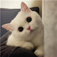 ��Ц�ı����ר����ͼ����