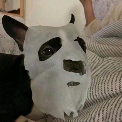 ������ĳ������ִ�ȫ�����޾�-�ɰ���