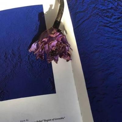 ����ϵ��������־�ǳ�Ů���Լ���̫��-�ɰ���