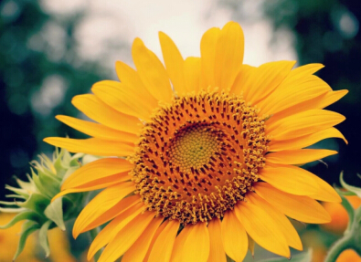 ΢�����������֣������ֵ�΢���ǳ�