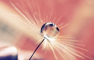 �ÿ��ķ������֣����֟�Ȥ��߷�����