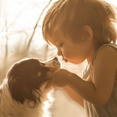 �����С����ȡ����˧���ں�����-�ɰ���