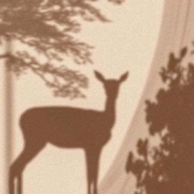 �����������΢�������������ں�-�ɰ���