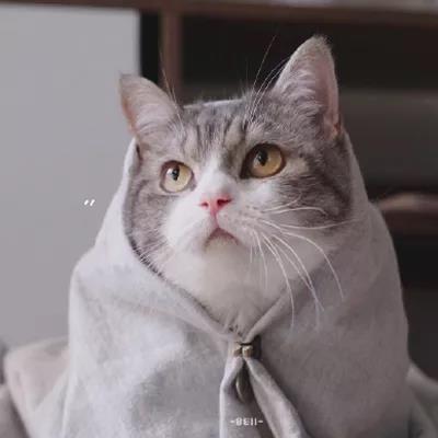 ΢�ų������ְ����󷽳�ק-�ɰ���