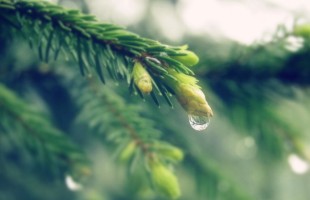 �ĸ��ֵ�С����������ǳ��د����