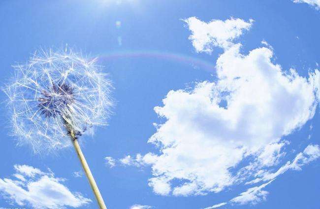 Ψ���������С��ѹ�Ӣ����Ů���������޷�ͣ���İ�......