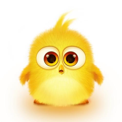 �������С�����������ȸ�ʮ��-�ɰ���