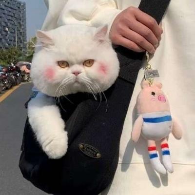 ������ӱ�ĳ����������ִ�ȫ�ֶ��ֺ���-�ɰ���